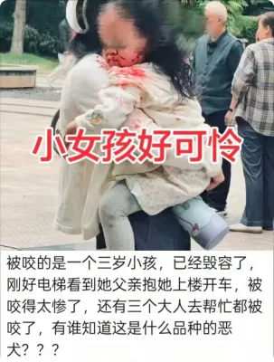 帖子配图